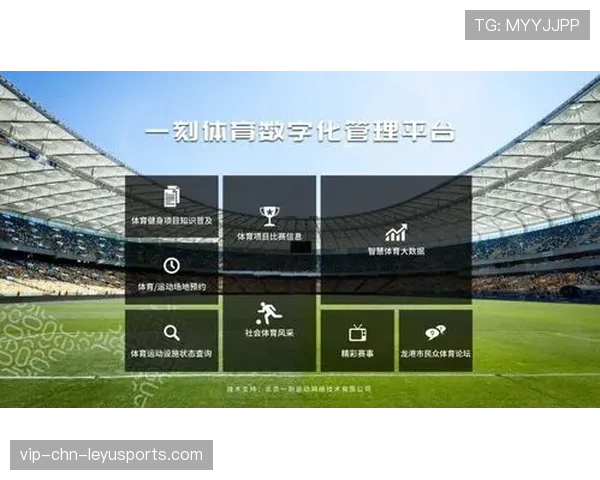 体育类虚拟商品市场逐步成型平台陆续布局，虚拟体育是什么